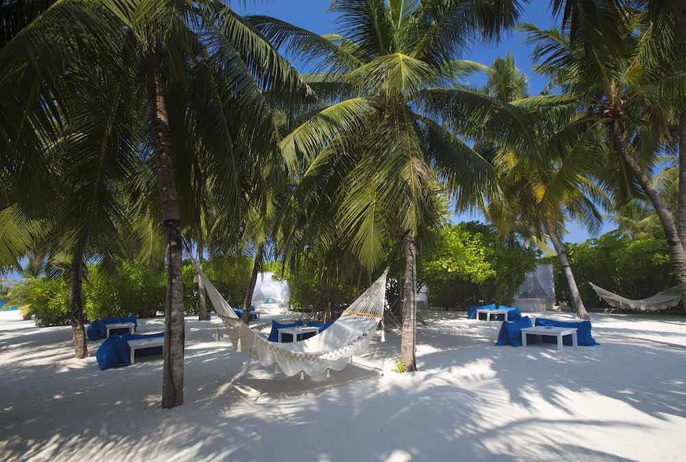 Fen Bar at Velassaru thumbnail 2